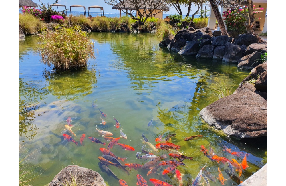 ICECCME 2021 Conference Photo Gallery