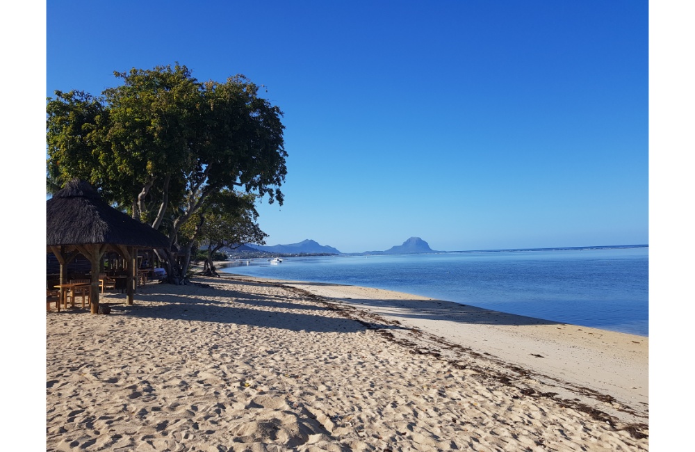 ICECCME 2021 Conference Photo Gallery