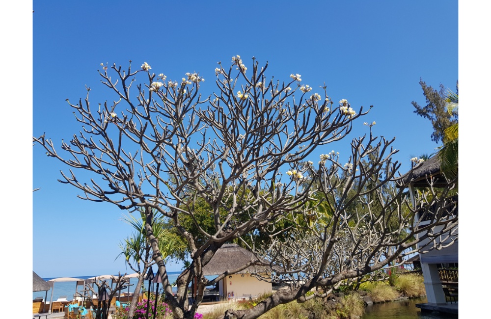 ICECCME 2021 Conference Photo Gallery